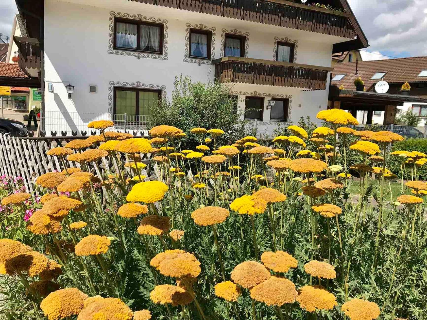 Gaestehaus Roessle Rötenbach Esterno foto